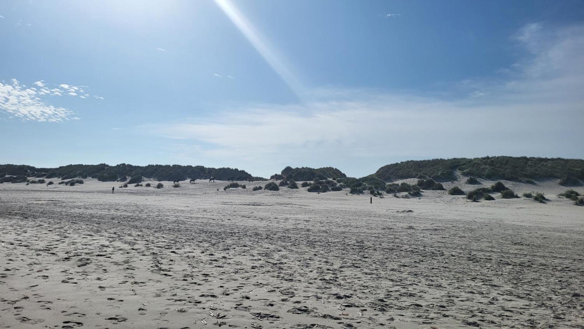 Duinzicht, Amelander Paradijs, Zonnig 6 Persoons Appartement Met Groot Terras Op De Begane Grond, Vrij Uitzicht, Upgrade 2024 Buren  Exteriér fotografie