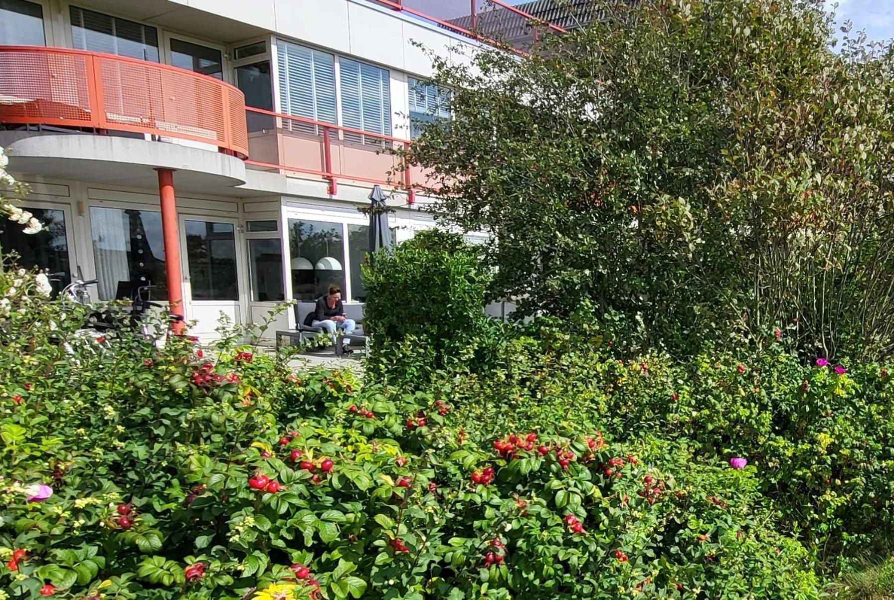 Duinzicht, Amelander Paradijs, Zonnig 6 Persoons Appartement Met Groot Terras Op De Begane Grond, Vrij Uitzicht, Upgrade 2024 Buren  Exteriér fotografie